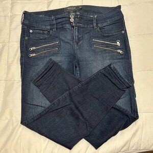 Torrid 14R Zipper Jeggings